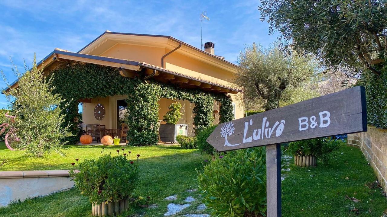 L' Ulivo Bed & Breakfast 特拉莫 外观 照片