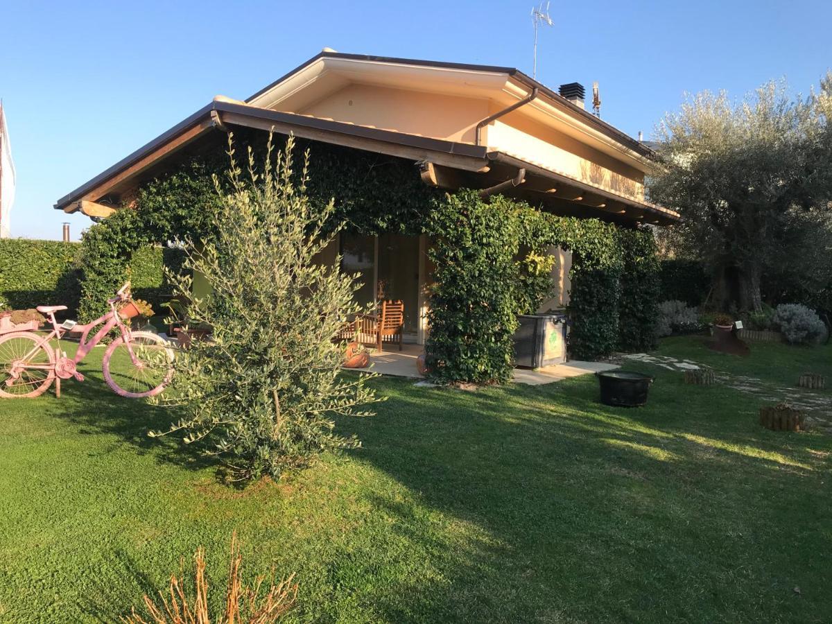 L' Ulivo Bed & Breakfast 特拉莫 外观 照片