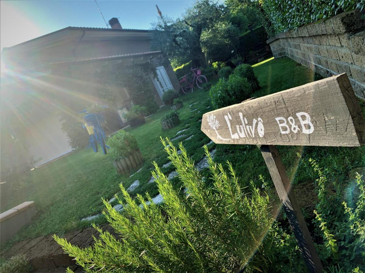 L' Ulivo Bed & Breakfast 特拉莫 外观 照片