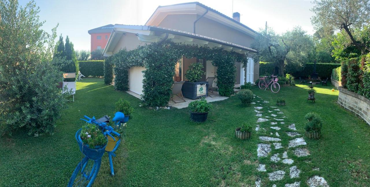 L' Ulivo Bed & Breakfast 特拉莫 外观 照片